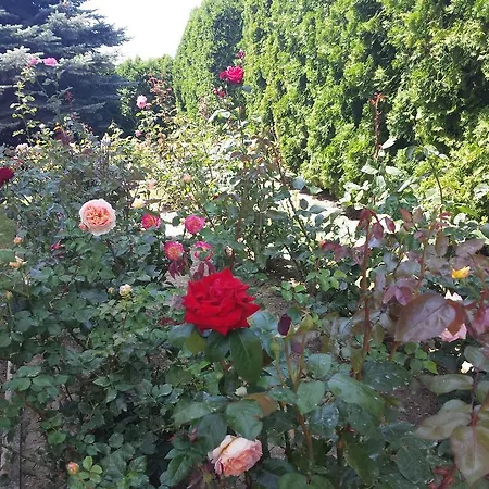 Napfeny ゲストハウス 3*