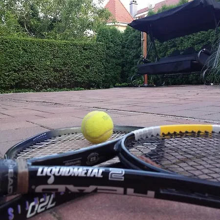 Napfeny ゲストハウス バラトンフレド